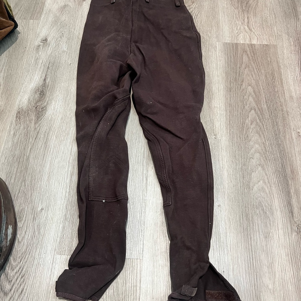 Brown Riding Pants - Picture 4 of 5